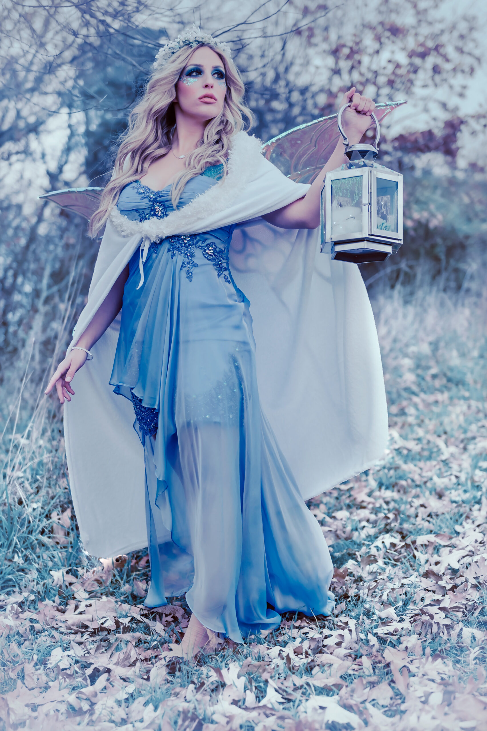 Fantasy photography Winter's Frost